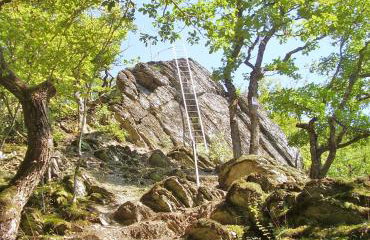 Ferienwohnung Klemm, Burgen /Untermosel - Foto 24