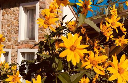 Canto del Grillo - Foto 18