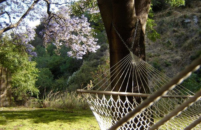 Hollywood Hills Canyon Breezes - Photo 24