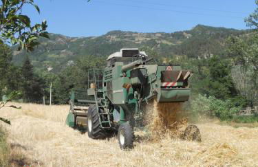 Agriturismo PEDROSOLA - Photo 45