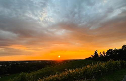 Ferienwohnung Waldzauber Schwarzwaldvibes meets Weinregion - Foto 30