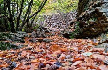 Masllosar Apartamento Rural Vilafranca - Foto 10