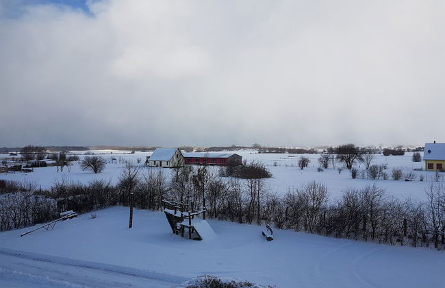 Ostsee-Landhaus - Foto 61