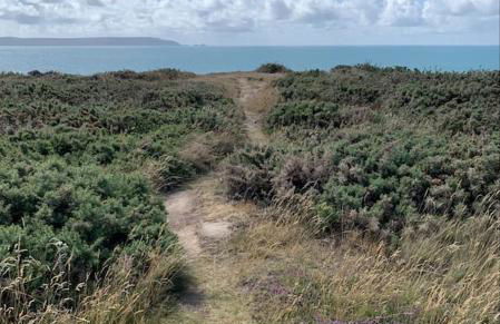 Bayside at 9 The Dome Barton on Sea - Photo 28