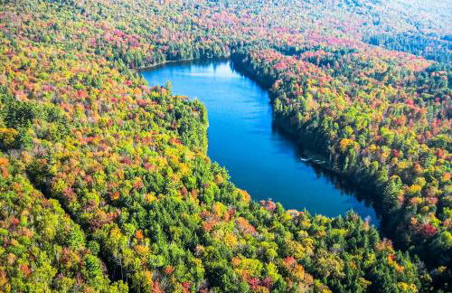 Justin Lake Lodge - Foto 2