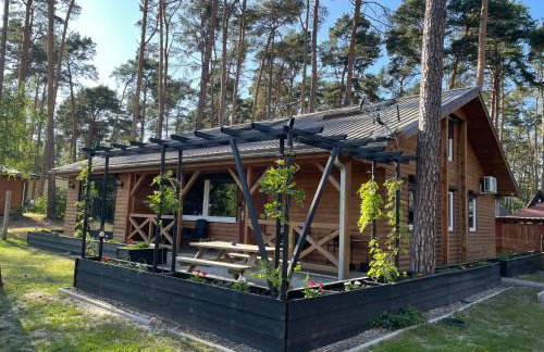 Domek Dębowy 1 - Foto 2