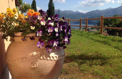 My sweet balcony - Photo 25