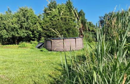 "Jabłonie i grusze" Nice home in a big garden with sauna and wifi - Foto 6