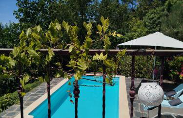 Bela Vista Alqueve - traditional stone house and private pool - Photo 4