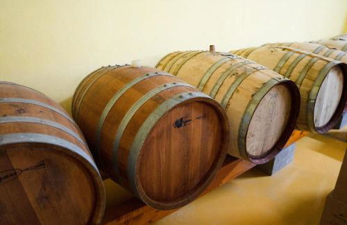 Le Case nel Vitigno - Modolo - Foto 31