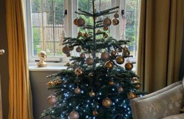 Edwardian Cottage in beautiful surroundings with hot tub - Foto 22