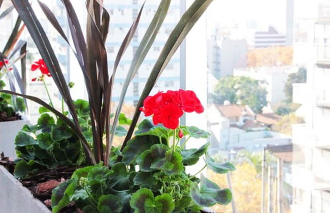 Hotel Boutique Devoto - Foto 12