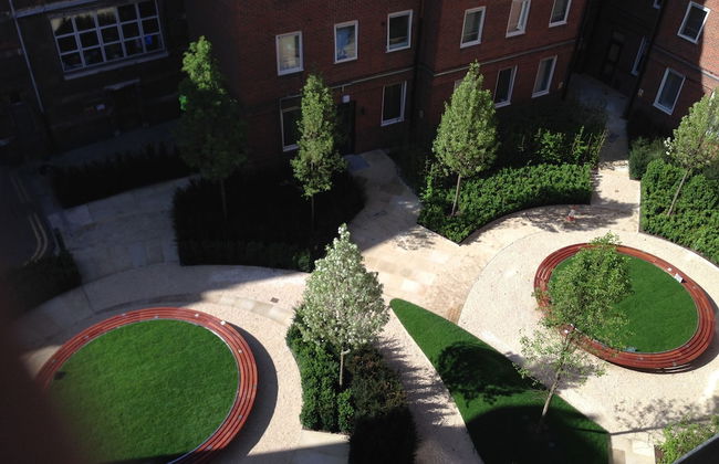 Student Only OLIB - Foto 35