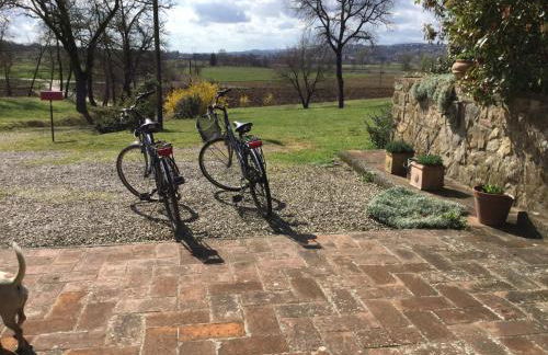 La Berchiera - Foto 45