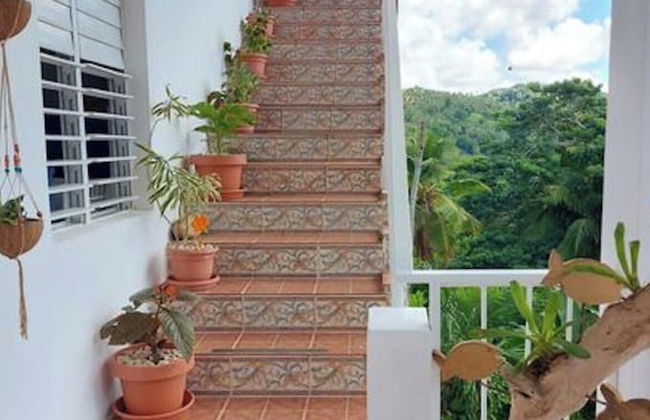 Quiet Studio - Apartment 4 in Villa Coconut - Foto 32