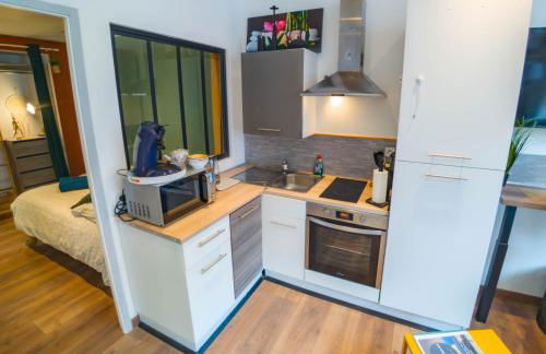 Luminux - 1P à 2P - Henriville - Foto 9