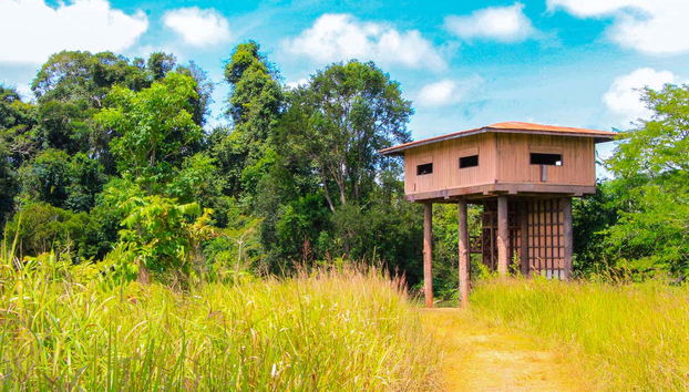 Torre de Observação de Nong Phak Chi