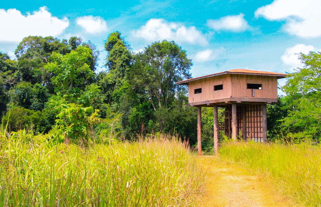 Escursione al Parco nazionale di Khao Yai - Foto 4