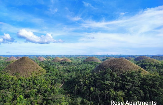 Rose Apartments - Foto 34