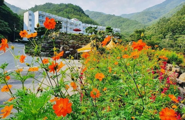 Junsung Resort - Foto 35