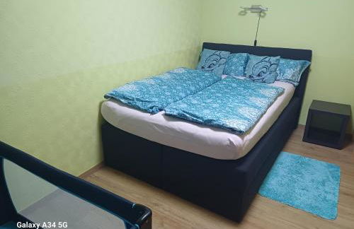 Ferienwohnung in dem schönen Kurort Bad Dürkheim - Foto 24