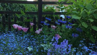 Church Farm, Legbourne Louth - Foto 2, Garden view