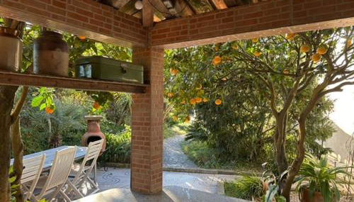 Casa das Flores Leiria Silvercoast Portugal - Foto 5, Garden