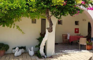 Canditas Studios - Photo 11