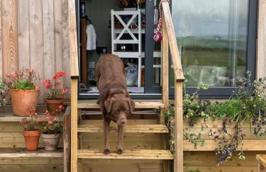 Luxury Shepherd Hut in the Peak District - Foto 53