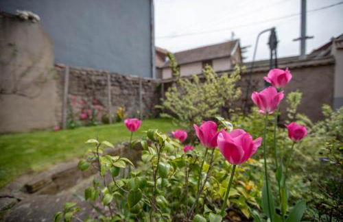 Aux Cerfs des Vignes - Groupe - Foto 32