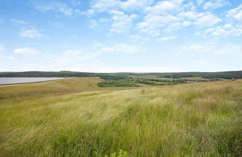 Lake View Cottage - Foto 24