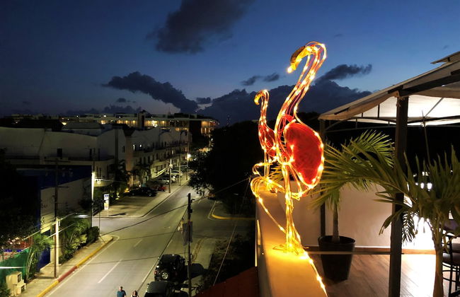 Posada Flamingos - Photo 45