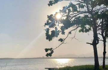 Casa Lagoa Areal - Photo 12