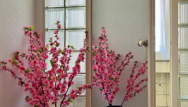 WX Home - Willkommen in Ihrer Ferienwohnung in Idar-Oberstein - Foto 5