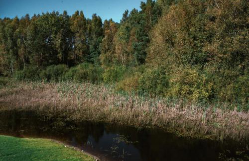 Black Resort Balia Sauna - Foto 48