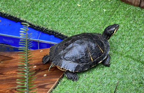 !Chalet de lujo para vacaciones!... - Foto 15