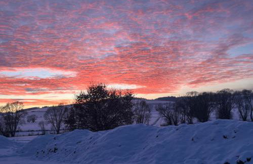 Familienurlaub pur III KINDER UND JUGENDLICHE bis 17 frei III HUND willkommen III SAUNA im Haus III Natur direkt vor der Tür III nah an Winterberg für Ski Wandern und Abenteuer - Foto 52