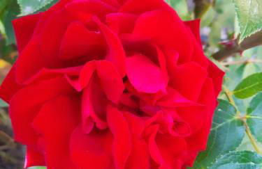 Ferienwohnung Nauen - Foto 13