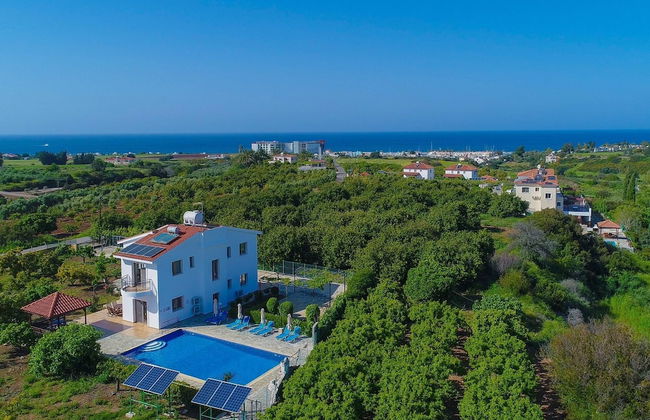 Villa Leda Finiki in Latchi - Foto 27