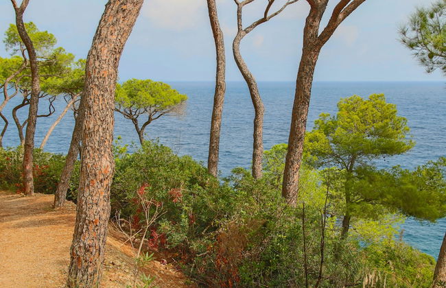 Allegroitalia Elba Capo d'Arco - Foto 6