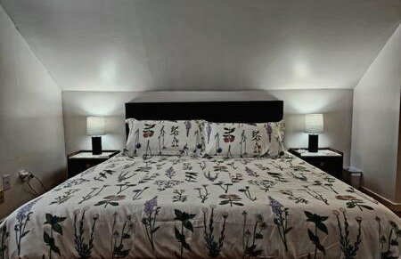 Large Cozy House Near NexusPark Air Hockey - Foto 16