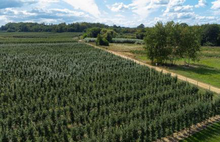 Uroczysko nad Pilicą Sauna & Balia - Foto 6