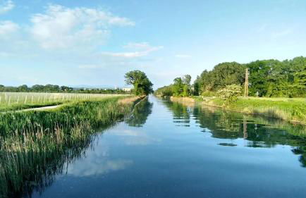 Residence Stradella Verde - Photo 23