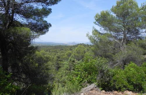 B&B Masia Katmandú - Foto 52