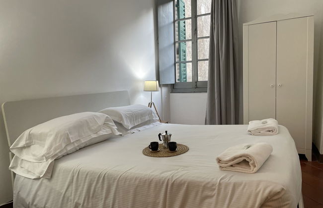 Tristano (FLG214) - Foto 24