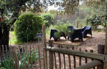 LES SANTOLINES - Studio Retro - Foto 27