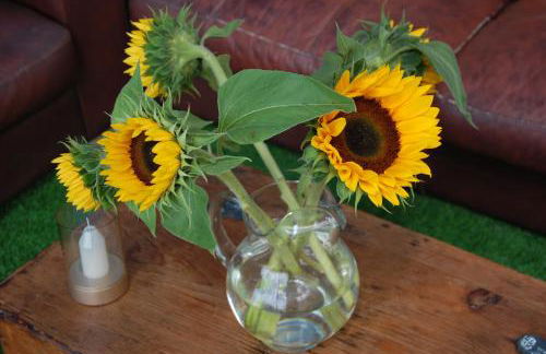 Maple Gardens Studio - Foto 32