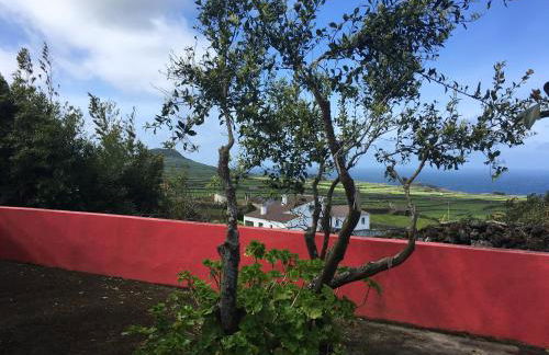 Quinta do Norte - Biscoitos - Photo 29