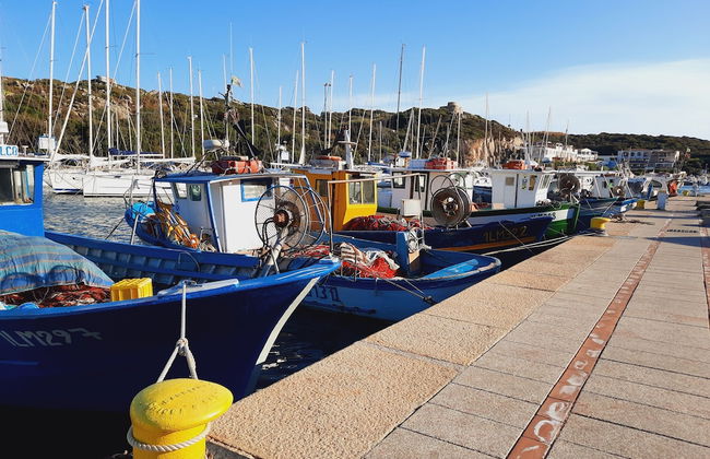 Le Rezidenze Desideri di Gallura - Foto 30