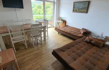 Die grüne Oase am RheinSteig 2 ZKBuWC - Foto 17